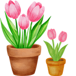 Home & Garden
