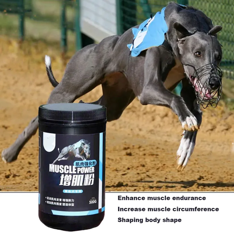 kf-S32e830638a694cd7be992ccfc2c05d5eI.webp Dog Professional Muscle Builder Protein Powder Increase Power Endurance Dog Racing Bully Pitbull Greyhound Pet Nutrition 500g - Image 1